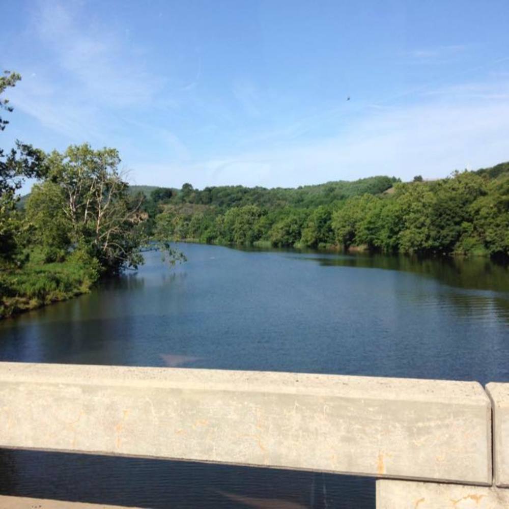 Meet your Posher, Cathy